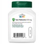 21st Century Saw Palmetto