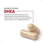 DHEA فورس فاکتور