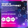 پمپ EuphoriQ ماسل تک