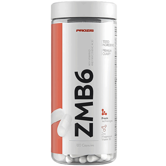 زد ام بی 6 پروزیس