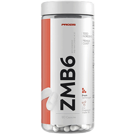 زد ام بی 6 پروزیس