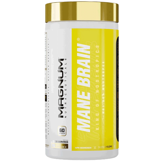 مین برین مگنوم