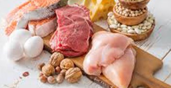 تحقیق جدید : تأثیر مقدار پروتئین و مکمل روی بهبود آسیب