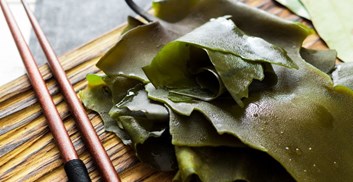 مکمل کلپ Kelp چیست ؟